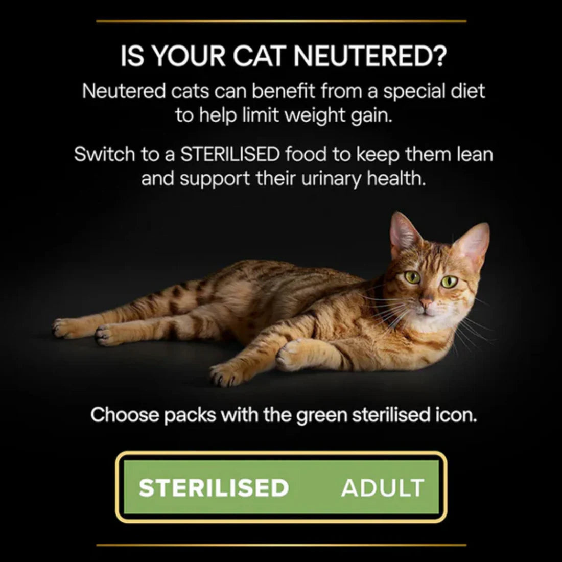 PRO PLAN STERILISED ADULT WET CAT FOOD WITH CHICKEN GRILLED IN GRAVY, 85G