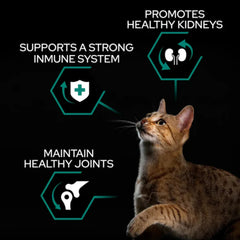 PRO PLAN RENAL PLUS  Adult Cat Chicken 1.5kg