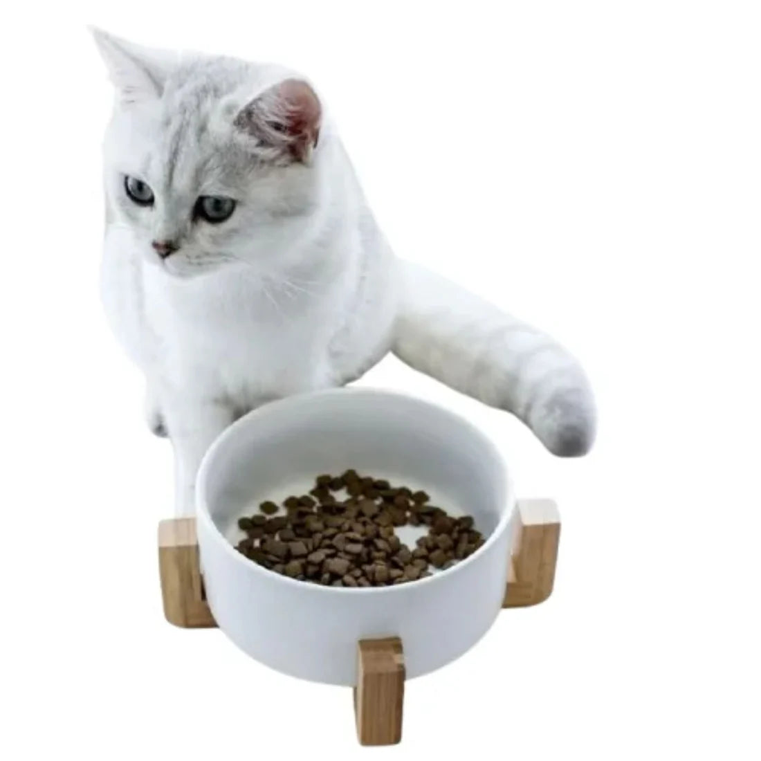 Petbroo White Ceramic Bowl Small 12cm