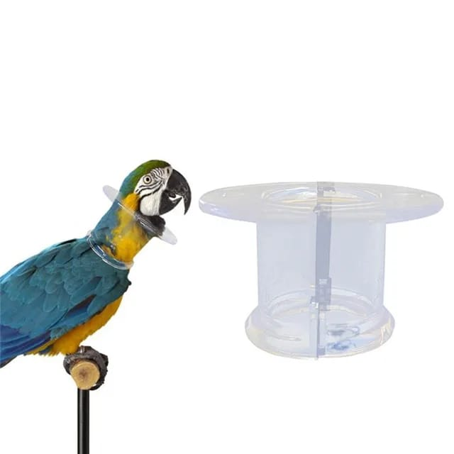 Saas Birds Medical Collar 33mm S