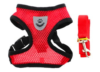Petbroo Harness With Leash S-PB1101700