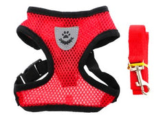 Petbroo Harness With Leash S-PB1101700