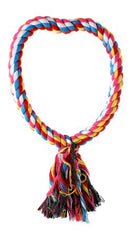 Saas Bird Swing ring SA2279
