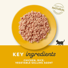 Applaws Kitten Chicken 70g Tin