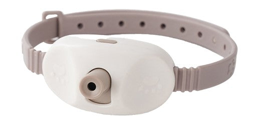 PETBROO LASER SELF TEASING TOY   PB13931