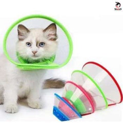 SAAS Elizabath Pet Collar XL