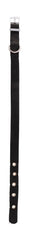 Nylon Dog Collar Medium
