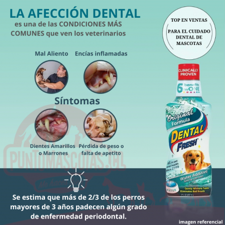 Synergy Labs Original Formula Dental Fresh - Dog 237ml