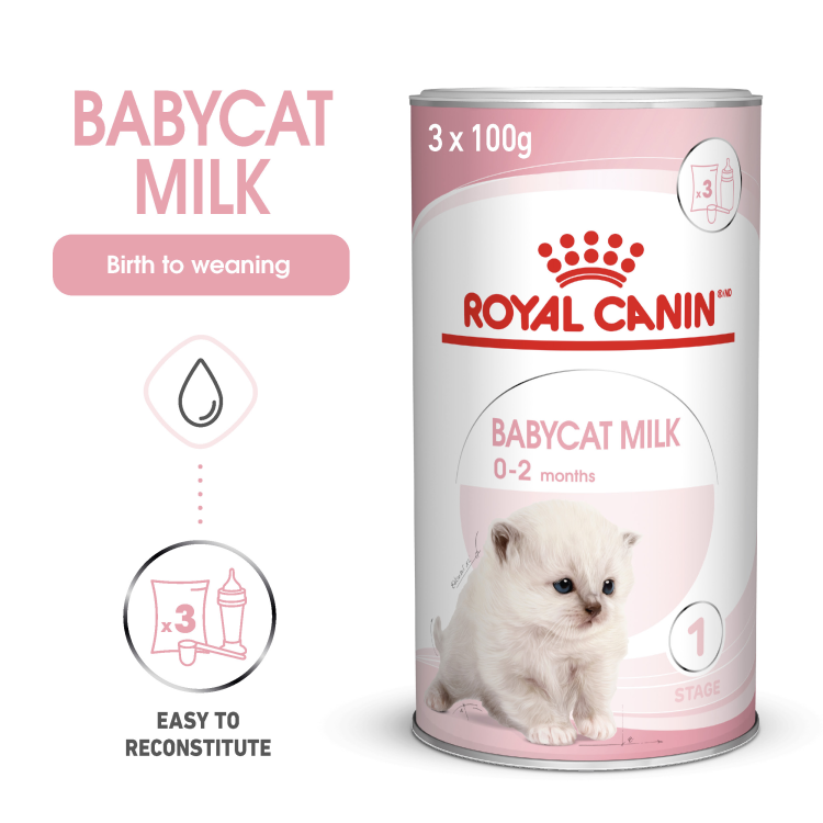 RC Baby cat milk 300gm