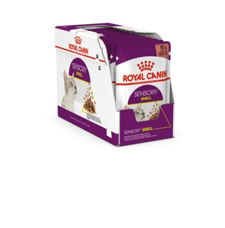 RC Sensory Smell Gravy