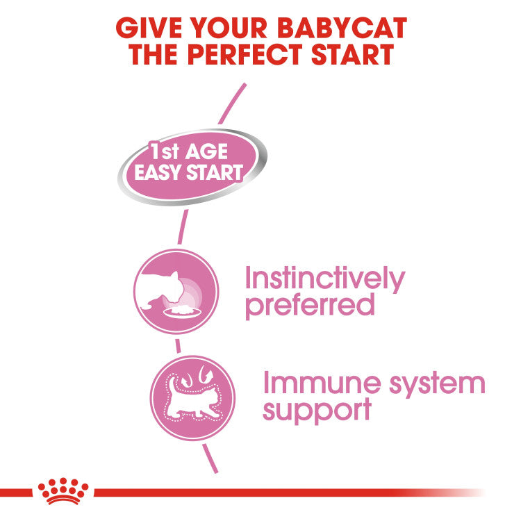 RC MOTHER & BABY CAT MOUSSE (WET FOOD - CANS)