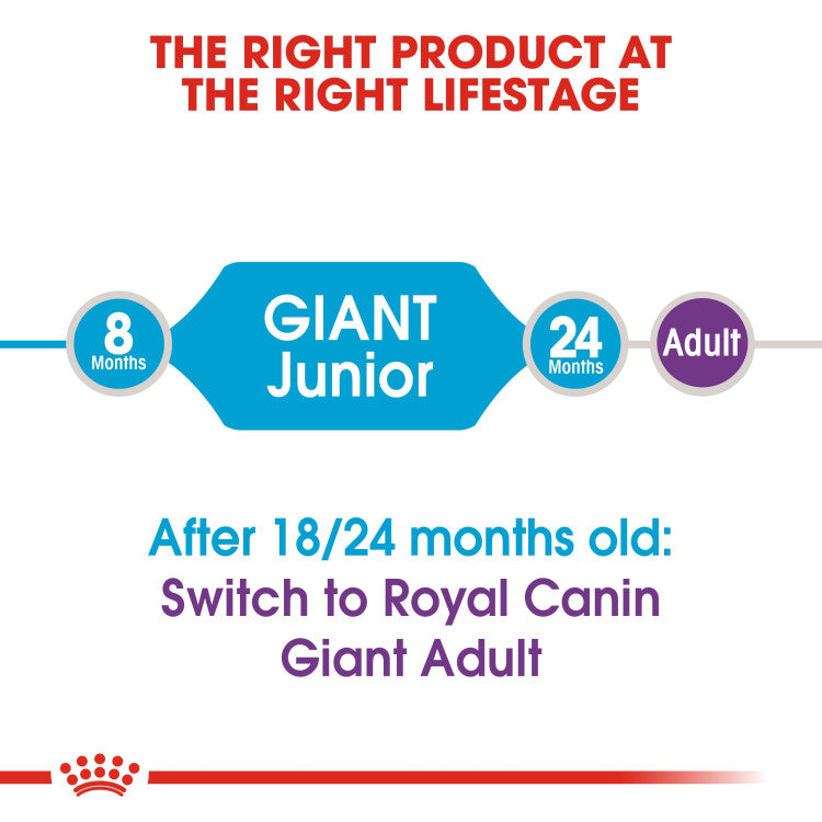 RC Giant Junior dry food 15kg