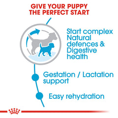 RC Starter Mother AND Baby Dog Mini 1Kg