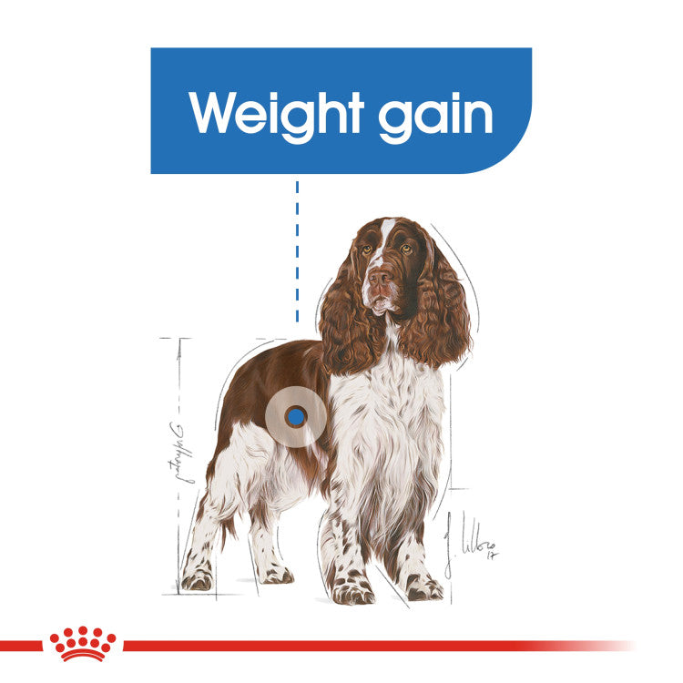 RC Medium light weight care 3kg