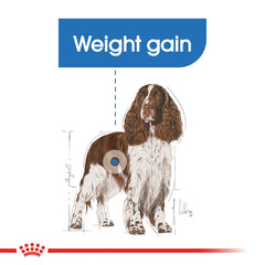 RC Medium light weight care 3kg