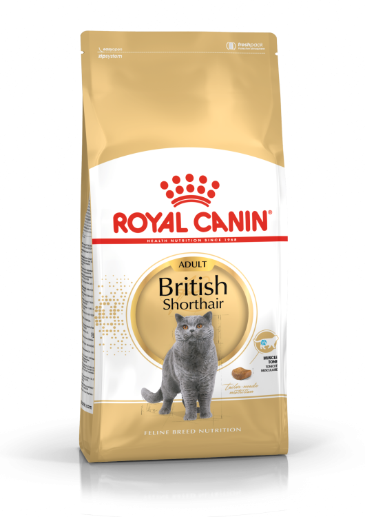 RC British Shorthair cat dry food 10 kg