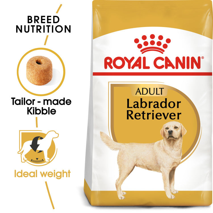 Rc Labrador Adult dog dry food