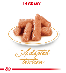 RC British Short hair Gravy 1 Piece 85g