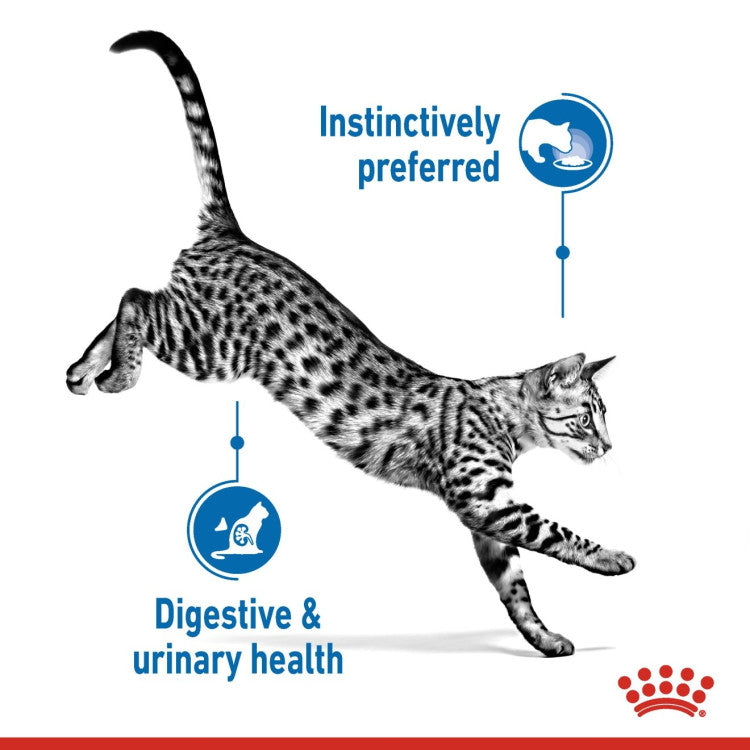 Feline Health Nutrition Indoor Jelly (Wet Food - Pouches) 12 x 85 g