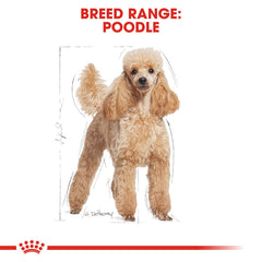 Breed Health Nutrition Poodle Adult (Wet Food - Pouches) 12 x 85 g