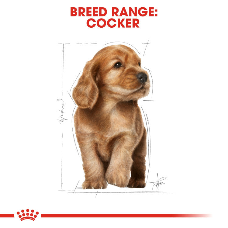 Breed Health Nutrition Cocky