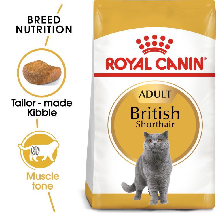 RC British Shorthair cat dry food 10 kg