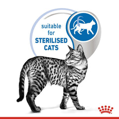 Feline Health Nutrition Indoor Jelly (Wet Food - Pouches) 12 x 85 g