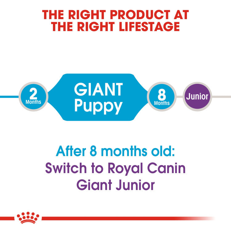 RC Giant Puppy dry foog 15kg