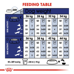 RC Maxi Adult  dog dry food 5+ 15kg