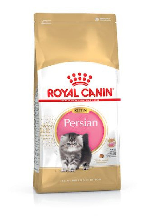 RC Persian Kitten  2 Kg