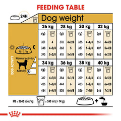 Rc Labrador Adult dog dry food
