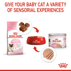 RC MOTHER & BABY CAT MOUSSE (WET FOOD - CANS)
