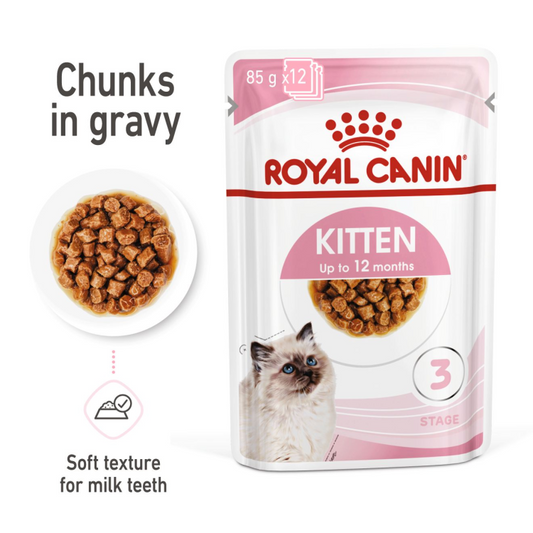 RC Kitten gravy pouch 1 piece 85g