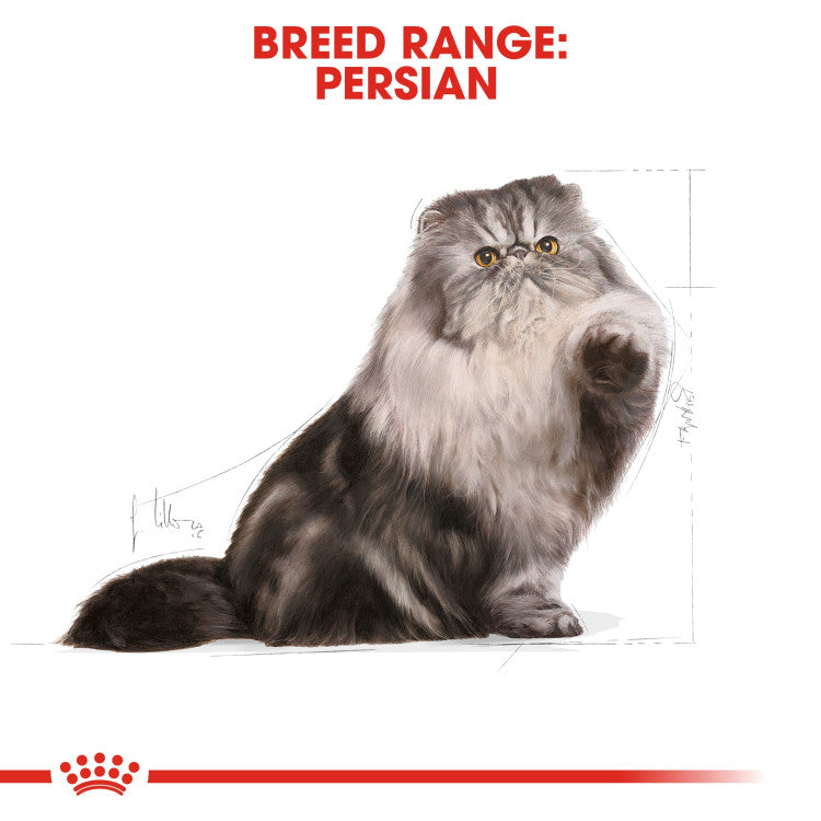RC Persian Adult 400g