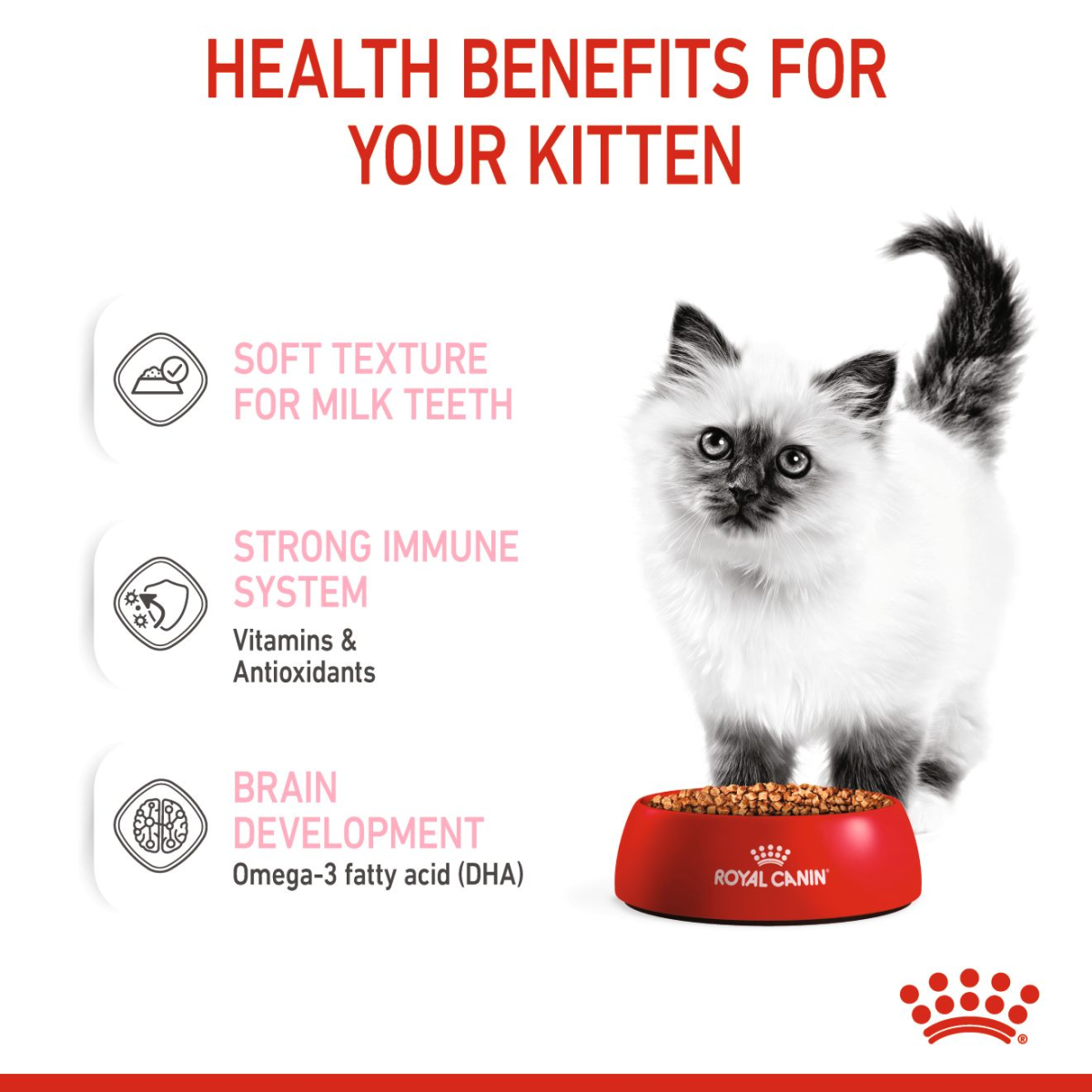RC Kitten gravy pouch 1 piece 85g