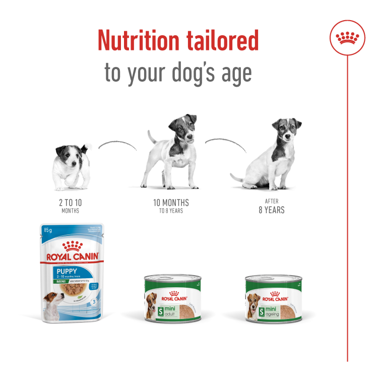 Mini Adult (Wet Food - Can) 12 x 195 g