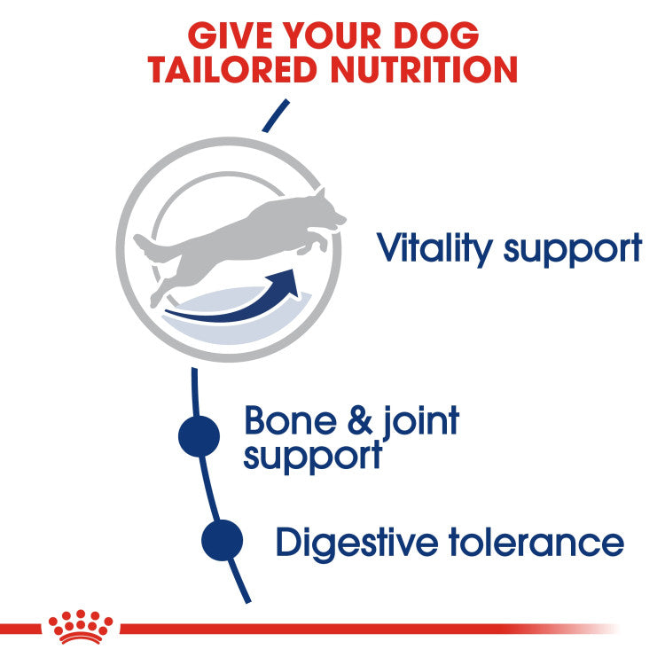RC Maxi Adult  dog dry food 5+ 15kg