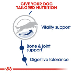 RC Maxi Adult  dog dry food 5+ 15kg