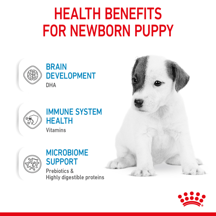 Rc Baby Dog Milk 400Gm