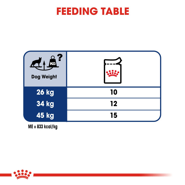 RC Maxi Adult (Wet Food - Pouches) 10 x 140 g