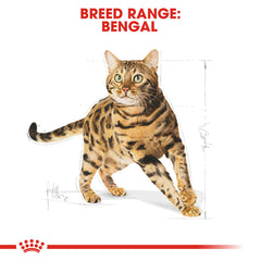 RC Bengal Adult Cat Food 2kg