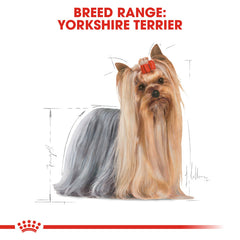 RC Adult Yorkshire Terrier 1.5 Kg