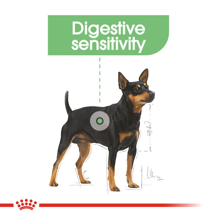 RC Digestive Care gravy for dogs