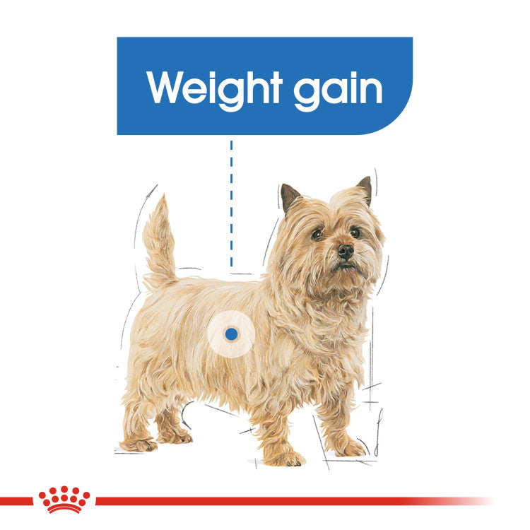 RC Light Weight Care Wet Dog Food