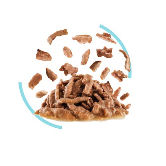 RC Sensory Wet Food Feel 1p 85g