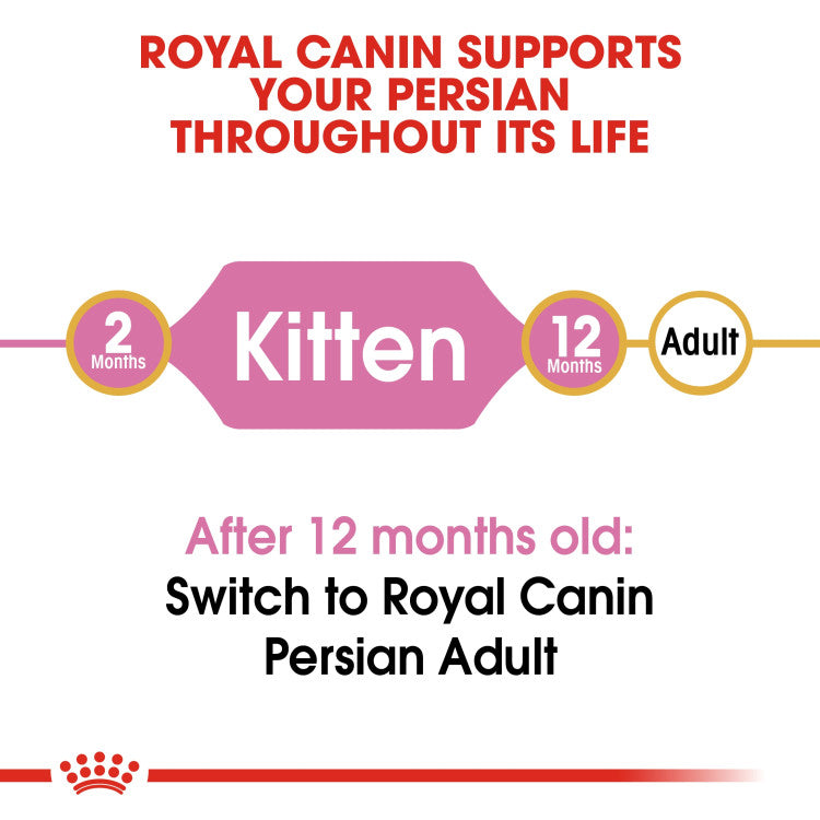 RC Persian Kitten  2 Kg
