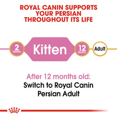 RC Persian Kitten  2 Kg