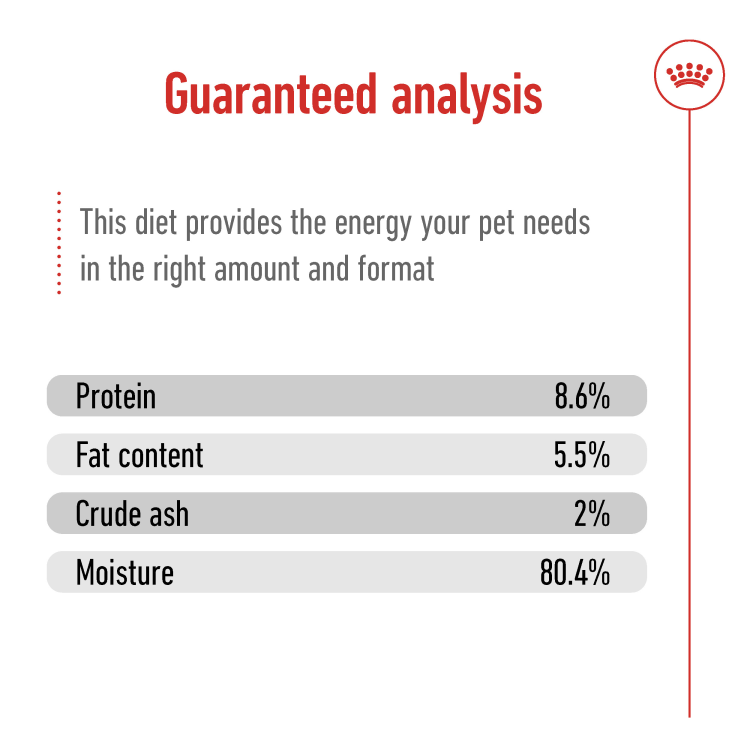Mini Adult (Wet Food - Can) 12 x 195 g