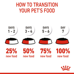 RC Kitten gravy pouch 1 piece 85g