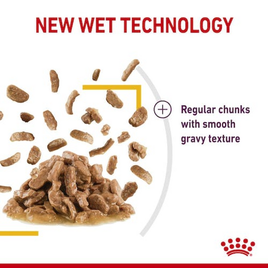 RC Sensory Wet Food Taste 1p 85 g